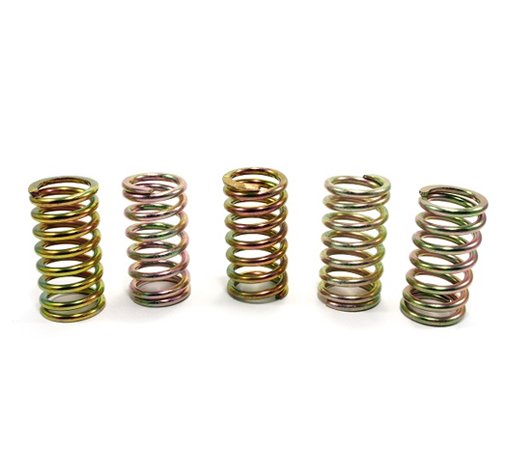 Beryllium Copper Spring